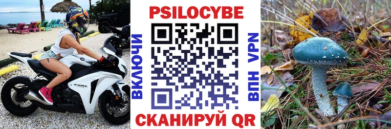 Псилоцибиновые грибы Psilocybine cubensis  Купить где  Черепаново 